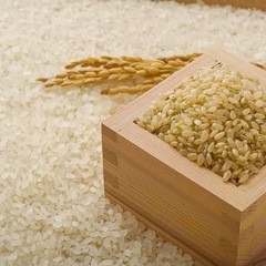 新米 30キロ 玄米（予定者あり） 