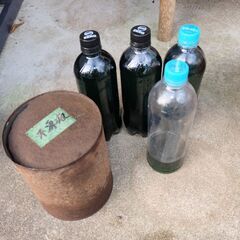 古い不凍液 グリーン 緑 約2.4L クーラント カー用品 LLC