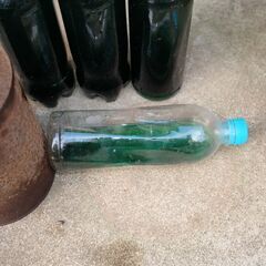 古い不凍液 グリーン 緑 約2.4L クーラント カー用品 LLCの画像