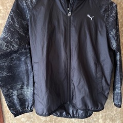 PUMA