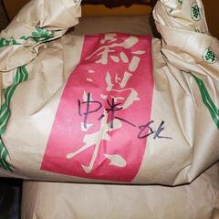 ①早い者勝ち❗限定一袋❗令和6年新米❗中米❗️半端❗6キロ❗精米...