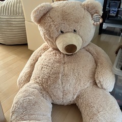 コストコ  BIGベアー