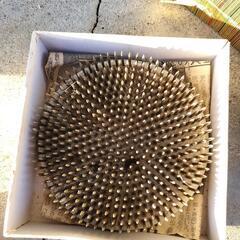 花器　花びんお花　池坊の画像