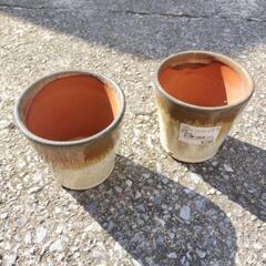 🪴陶器鉢　1つ200円