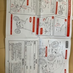 サンライダー　ピンクの画像