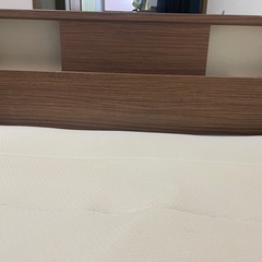 ベット