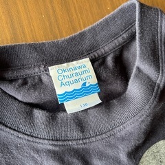 お値下げ致しました⭐️沖縄美ら海水族館 ブルシャーク Tシャツ　130cmの画像