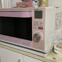 電子レージ