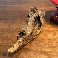 22 包み込んだ　捻り流木、天然物、置物の画像