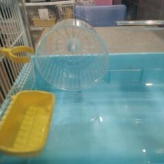 小動物のケージの画像