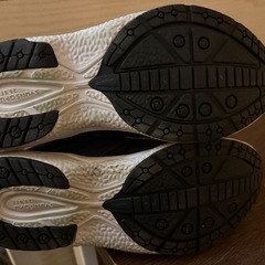 瞬足 20㎝の画像