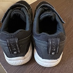 瞬足 20㎝の画像