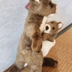 カンガルーぬいぐるみ36cmの画像
