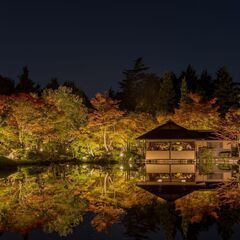 11/10昭和記念公園　夜のライトアップを見に行こう【現4名】