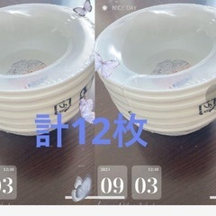 サラダ、スープ用のお皿【12枚】