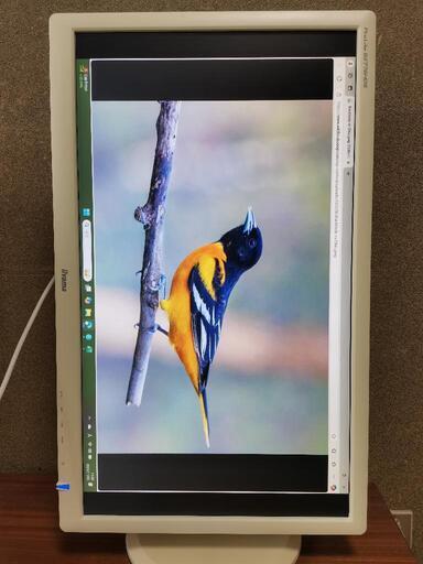 IIYAMA PCモニター27インチ ProLite b2776Hds