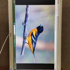 IIYAMA PCモニター27インチ ProLite b2776Hds
