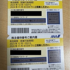 ANA 株主優待券 2024年11月30日まで