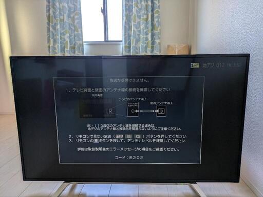 REGZA　49型　テレビ　TV