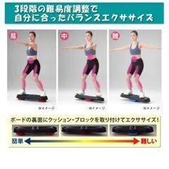 パワーチューブ付ロッキングボードの画像
