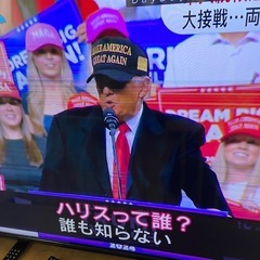 オリオン50インチTV
