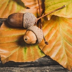 🌈人の心に寄り添うカウンセラーになってみたい方へ🌈😊個別オンライン相談