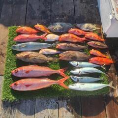 海釣り − 奈良県
