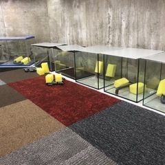 飼えなくなった熱帯魚引き取ります。