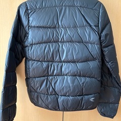 タイチ　インナーダウン
の画像