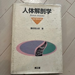 人体解剖学