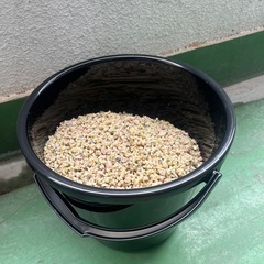 水槽用の砂(砂利)熱帯魚