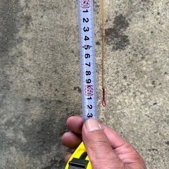 希少な釣竿の画像