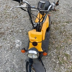 bite AF59