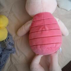 ぬいぐるみの画像