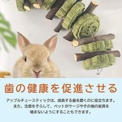 ☆【新品】ハムスター 歯磨き うさぎ チンチラ リス おもちゃ 小動物嚙むの画像
