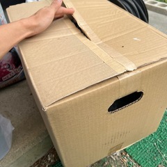 腐葉土　50L 10箱　大量　産卵用マット