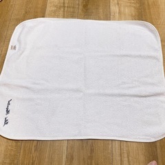 赤ちゃんの城 毛布の画像