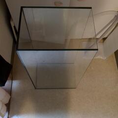 ■取り引き中■金魚　里親募集　蝶尾１０ｃｍ程度　水槽セットの画像