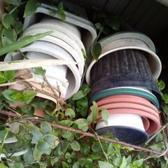 差し上げます❢（無料）植木鉢の画像