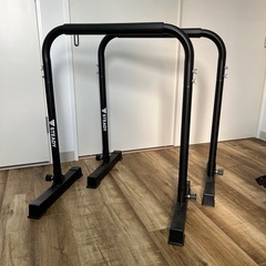 STEADYディップスバー
  