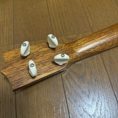 ウクレレ ソフトケース付 FS-1の画像