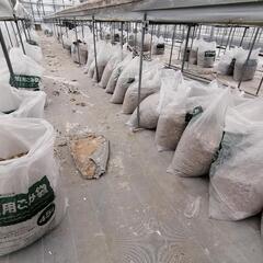 農業資材　栽培用土　細粒綿の画像