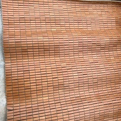 竹ござ　ラグ　カーペット