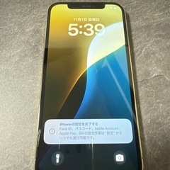 iPhone12 Pro ゴールド SIMフリー 512GB バッテリー89%