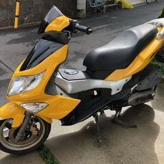 珍しい？アローロAloro125