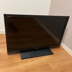 テレビ
