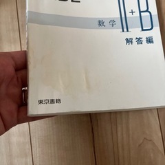 Ｓｔａｎｄａｒｄ　Ｂｕｄｄｙ　ＷＩＤＥ数学２＋Ｂの画像