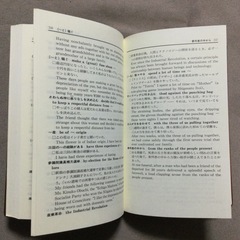 和英翻訳表現辞典の画像