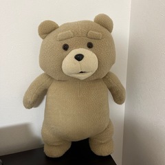 Ted ぬいぐるみ　大きい