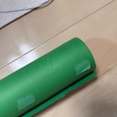 新品　サベージ 背景紙 2.72×11m／No.46（テックグリーン）　RL46-12の画像